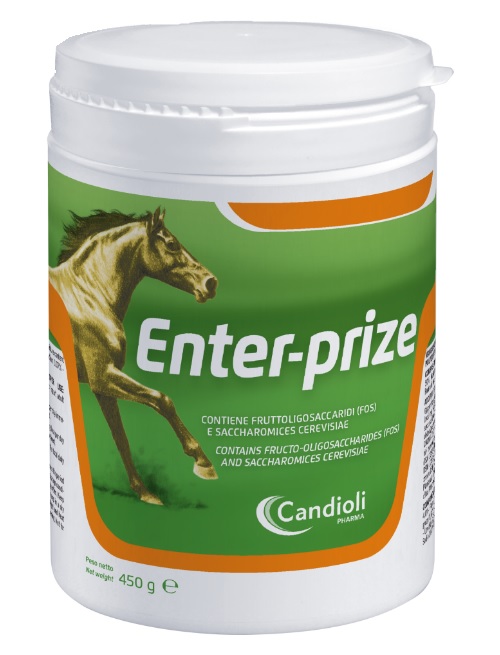 ENTER-PRIZE 450G