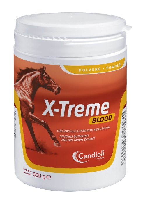 X-Treme Blood Barattolo 600 g Polvere per soluzione orale