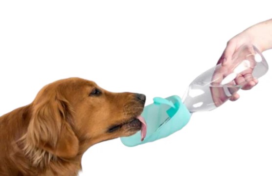 Leaf dispenser acqua da viaggio in silicone azzurro — confronto prezzi