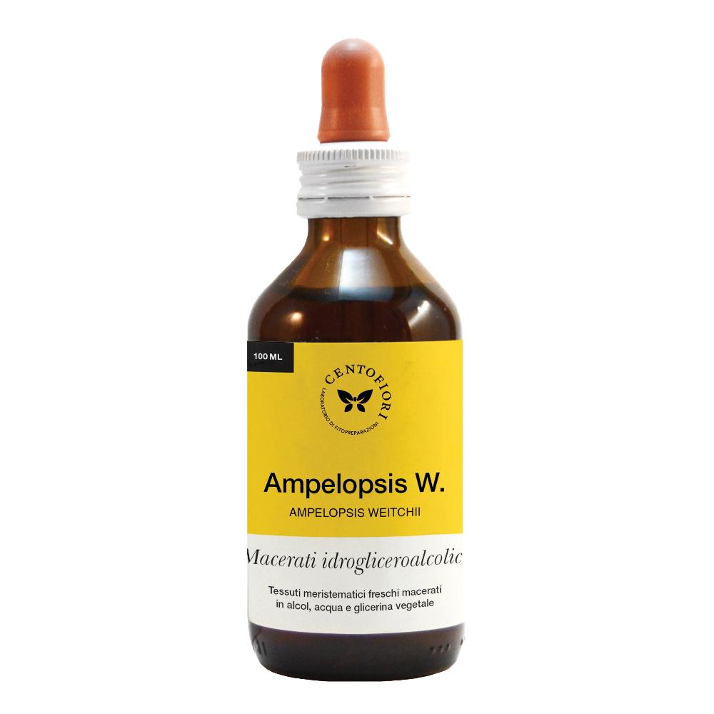 Ampelopsis mg 100 ml
