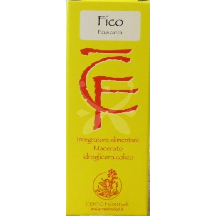 FICO GEMME 100ML MG