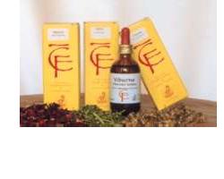 OLIVO GIOVANI GETTI 100ML MG — confronto prezzi