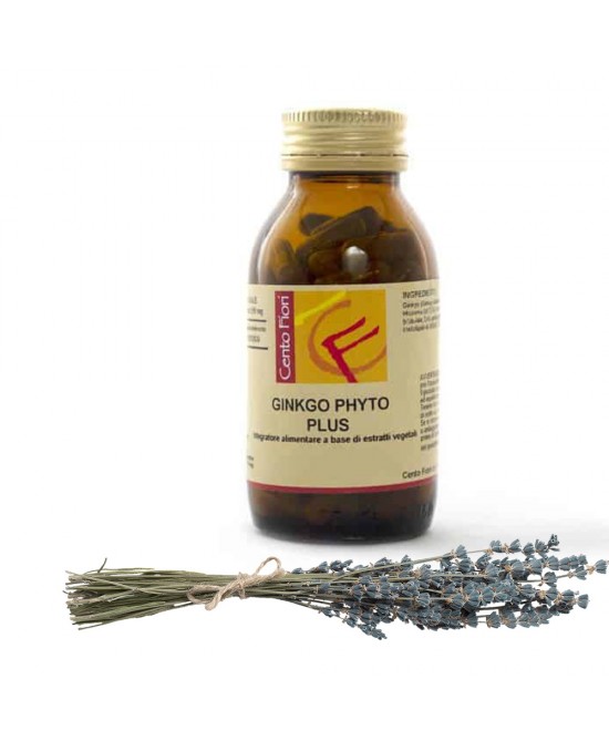 GINKGO BILOBA PLUS 100CPS VEG