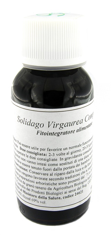 Lvs 07n solidago virg.comp.