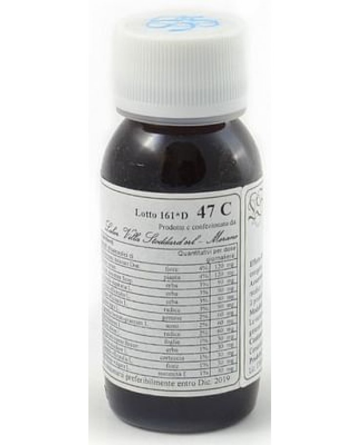 47C HELICHRYSUM ANGUSTIF COMP — confronto prezzi