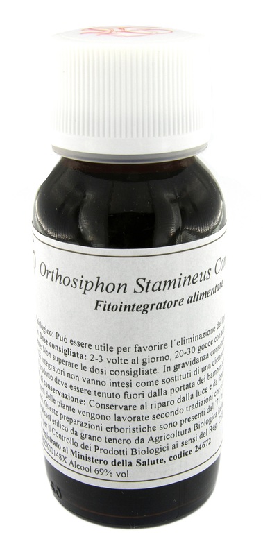 VILLA STODDARD 65S 60ML ORTHOSIPHON