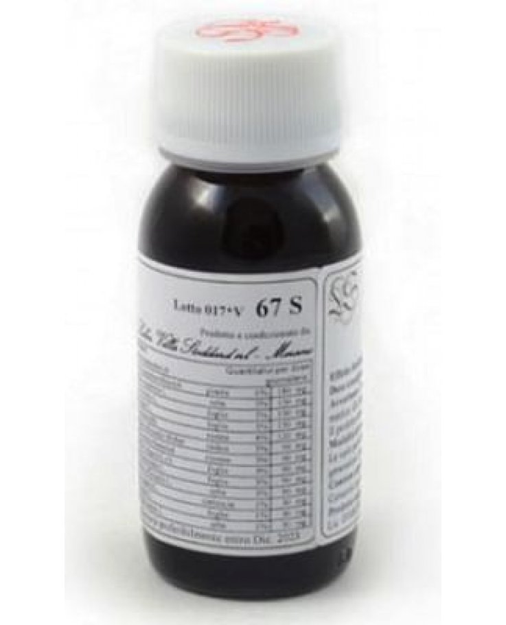 Lvs 67s echinacea purp.comp.