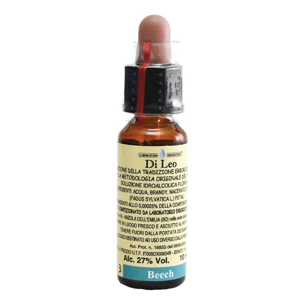 BEECH 10ML DI — confronto prezzi