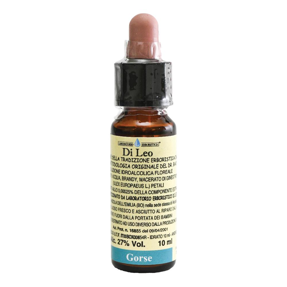 GORSE 10ML DI — confronto prezzi