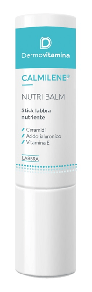Dermovitamina Calmilene 4.5g Stick Labbra Nutriente Riparatore e Protettivo