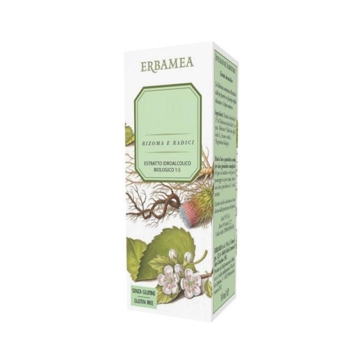 Ginkgo Biloba Foglie E.I. 50ml - Estratto Fluido per il Benessere Cognitivo