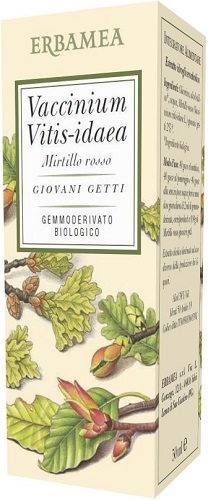 Vaccinium Vitis-idaea Mirtillo Rosso Bio Benessere Delle Vie Urinarie Gemmoderivato 50ml