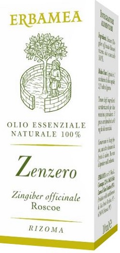 Zenzero 10 ml — confronto prezzi