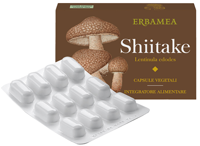 SHITAKE 24CPS VEGETALI ERBAMEA — confronto prezzi