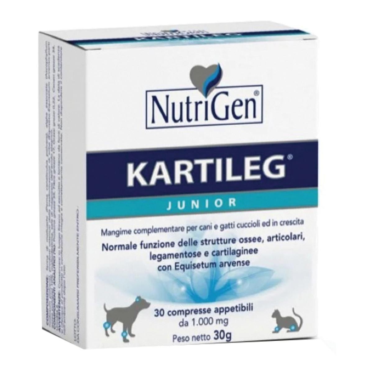 Kartileg Junior 30 Tavolette
