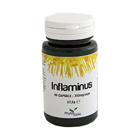 Inflaminus Integratore Per Sistema Digerente E Funzionalità Articolare 60 Capsule — confronto prezzi