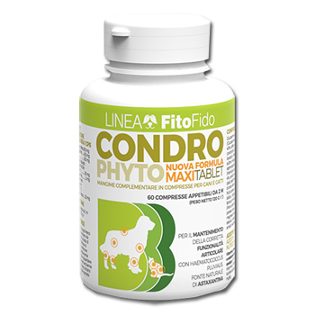 CONDROPHYTO 60CPR 2G — confronto prezzi
