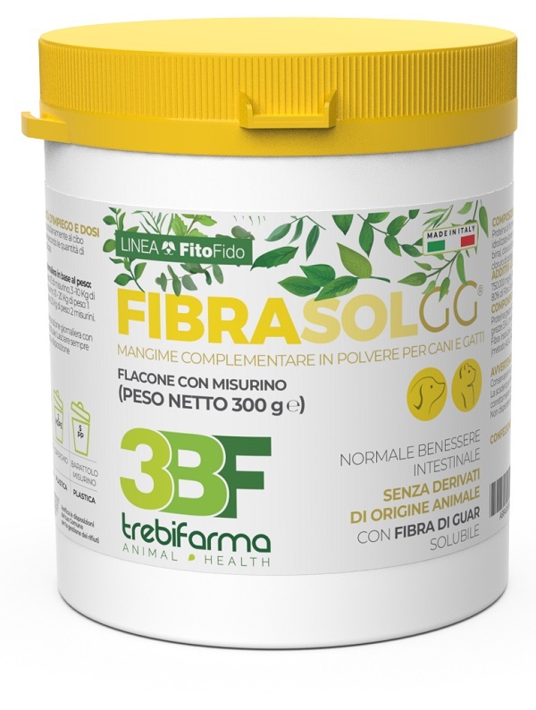 Fibrasol Gg 300 G g Polvere per soluzione orale