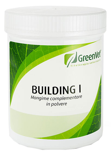 V BUILDING I POLVERE 500GR APACT — confronto prezzi