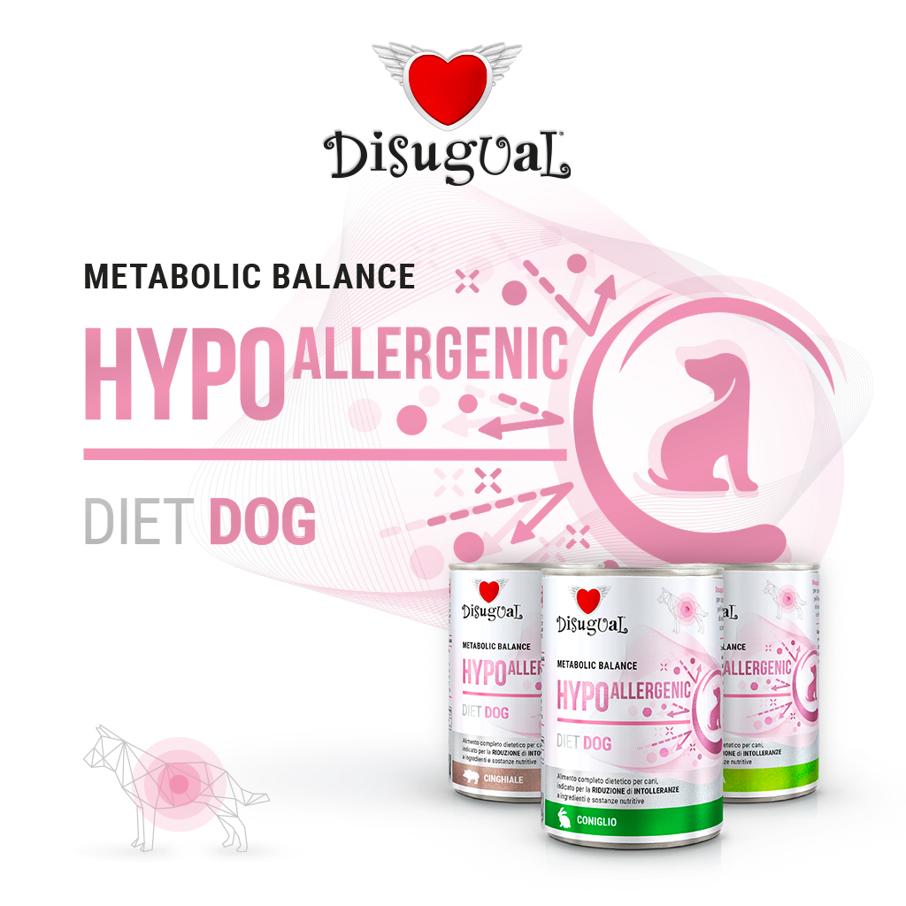 Disugual Cane Diet Hypoallergenic Cinghiale 400 Gr — confronto prezzi