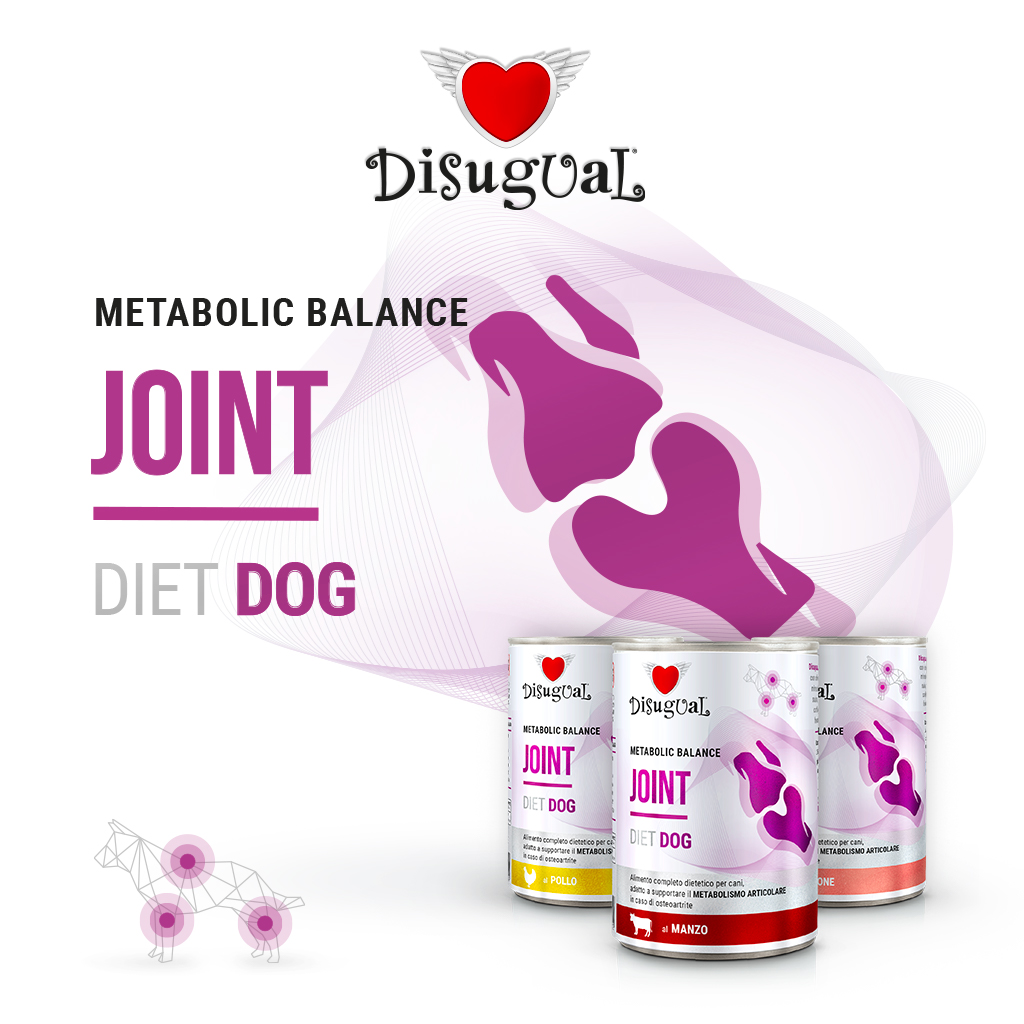 Disugual Cane Diet Joint Pollo 400 Gr — confronto prezzi