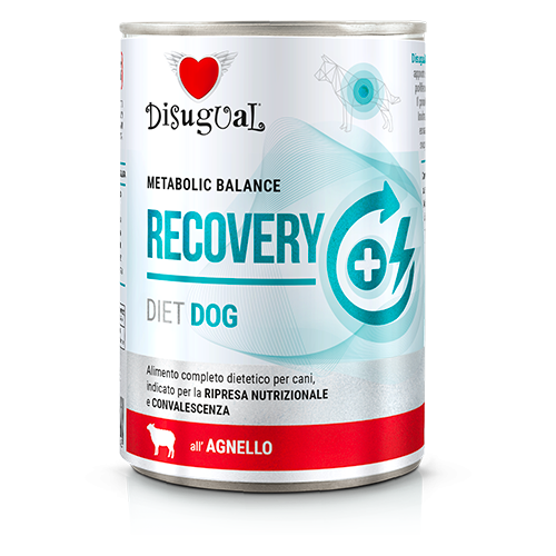 Disugual Cane Diet Recovery Agnello 400 Gr — confronto prezzi