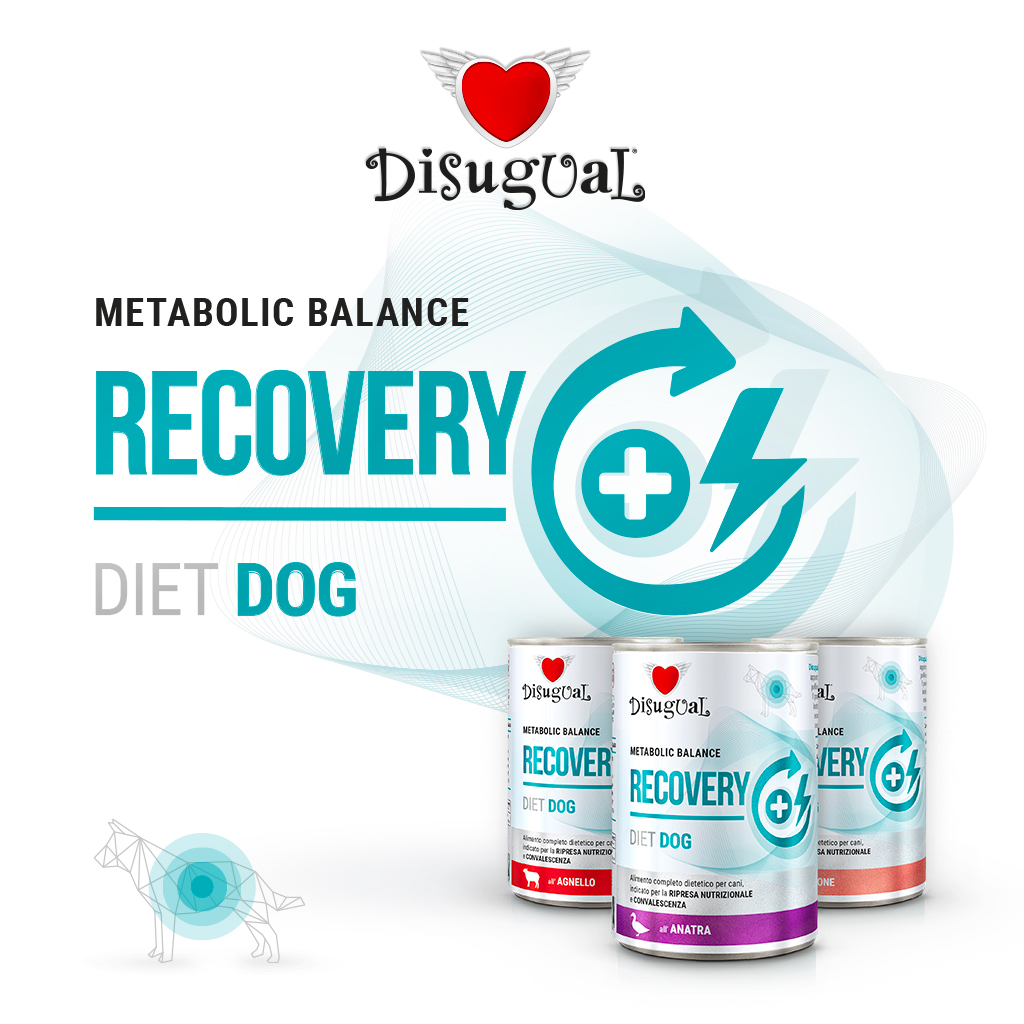 Disugual Cane Diet Recovery Anatra 400 Gr — confronto prezzi