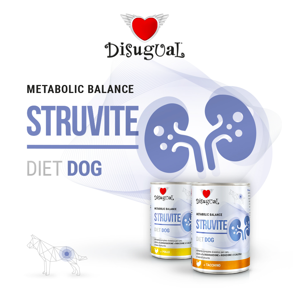 Disugual Cane Diet Struvite Tacchino 400 Gr — confronto prezzi