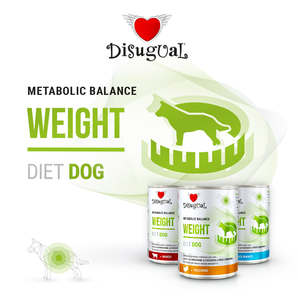 Disugual Cane Diet Weight Manzo 400 Gr — confronto prezzi