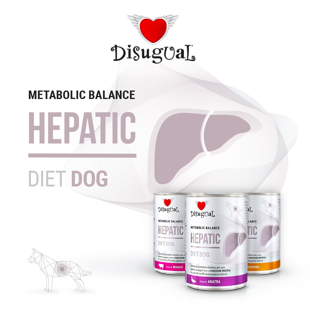 Disugual Cane Diet Hepatic Anatra 400 Gr — confronto prezzi
