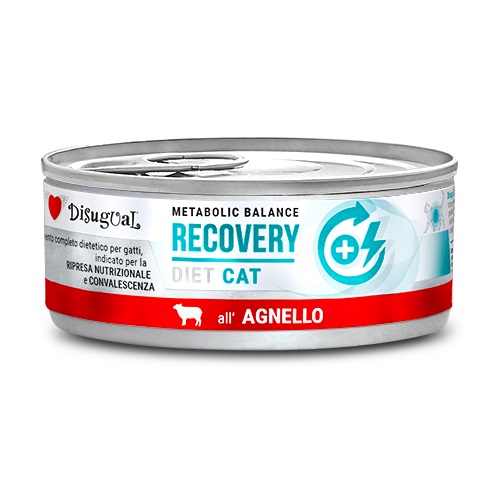 Disugual Gatto Diet Recovery Agnello 85 Gr — confronto prezzi