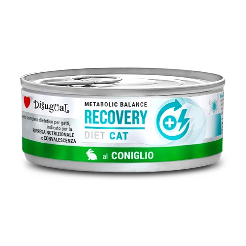 Disugual Gatto Diet Recovery Coniglio 85 Gr — confronto prezzi