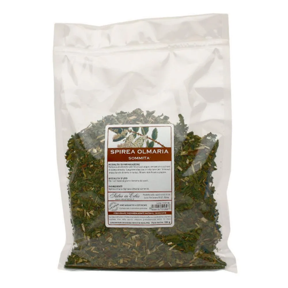 SPIREA ULMARIA SOMMITA' TT100G