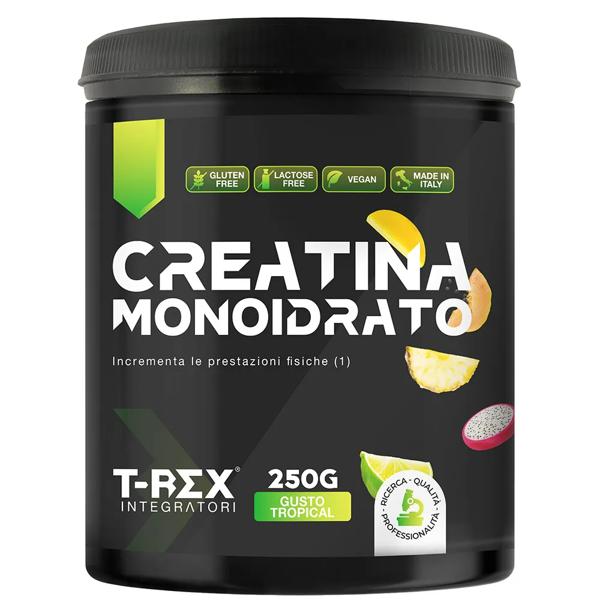 T-Rex Creatina Monoidrato Integratore Gusto Tropicale 250g — confronto prezzi