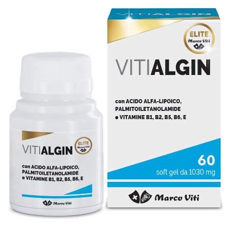 Marco Viti Vitialgin Integratore Antiossidante 60 Soft Gel