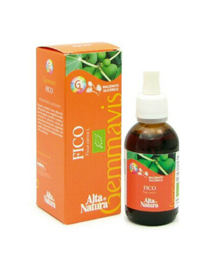 FICO GEMMODERIVATO 50ML