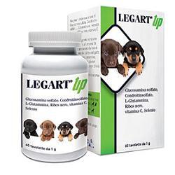 Ddf Legart Up Integratore Articolare Cani E Gatti 60 Compresse — confronto prezzi