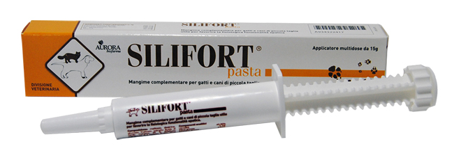 Ddf Silifort Pasta Disintossicante Cani e Gatti Siringa da 15 g