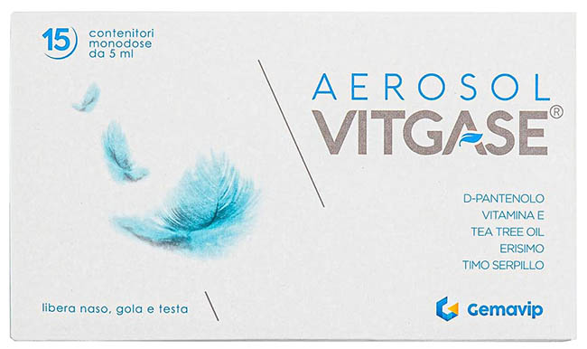 Vitgase aerosol 15f.25ml