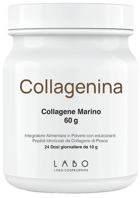 Collagenina Integratore 240 g Polvere per soluzione orale