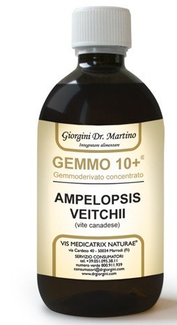 Gemmo 10+ gemmoderivato concentrato liquido analcolico ampelopsis veitchi vite canadese 500 ml — confronto prezzi