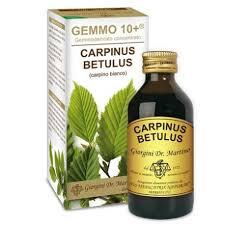 Dr. Giorgini Gemmo 10+ Carpinus Betulus Integratore 100 ml — confronto prezzi