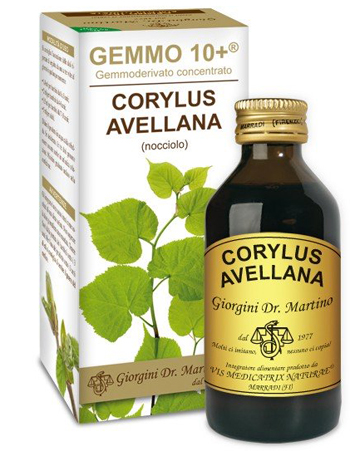 Nocciolo 100ml analco gem 10+ — confronto prezzi
