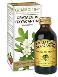 Dr. Giorgini Gemmo 10+ Biancospino Liquido Analcolico 100 ml