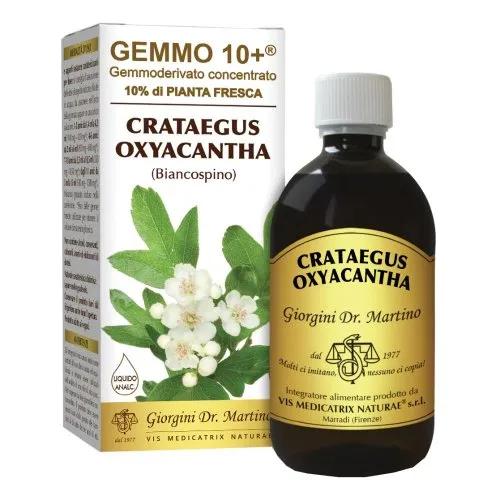 Dr Giorgini Gemmo 10+ Biancospino Integratore Liquido Analcolico 500ml