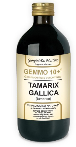 GEMMO 10+ GEMMODERIVATO CONCENTRATO LIQUIDO ANALCOLICO TAMARIX GALLICA TAMERICE 500 ML — confronto prezzi