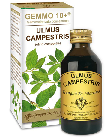 Olmo camp 100ml analco gem 10+