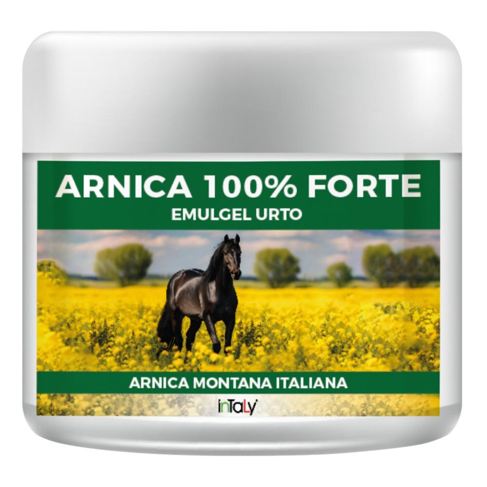 ARNICA 100% FORTE 150ML