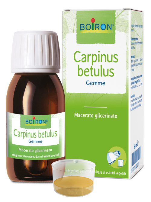 Carpinus betulus macerato glicerico 60 ml int — confronto prezzi