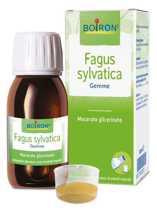 BOIRON® Fagus sylvatica Gemme 60 ml Soluzione orale — confronto prezzi